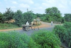 Sur la route de Jaipur.