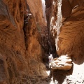 Le désert du Wadi Rum, pétroglyphes.