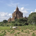 Bagan, le temple Hti-Lo-Min-Lo.