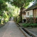 Luang Prabang : petite rue tranquille.