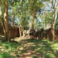 Temple-jungle de Bantey Chhmar.