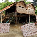 Autour de Battambang, fabrication des galettes de riz.