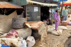 Village de Prek Tacheng : séchage et fermentation du poisson.