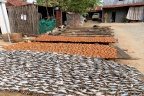 Village de Prek Tacheng : séchage et fermentation du poisson