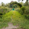 Giverny, jardin de Monet.