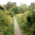 Giverny, jardin de Monet.
