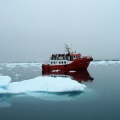 Navigation entre les icebergs.
