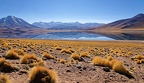 Chili : Désert d'Atacama, lagune Miscanti