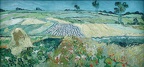 Champs de blé près d'Auvers sur Oise, 20-22 juin 1890.