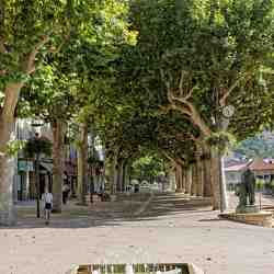 Promenades et visites découvertes en France. Randonnées