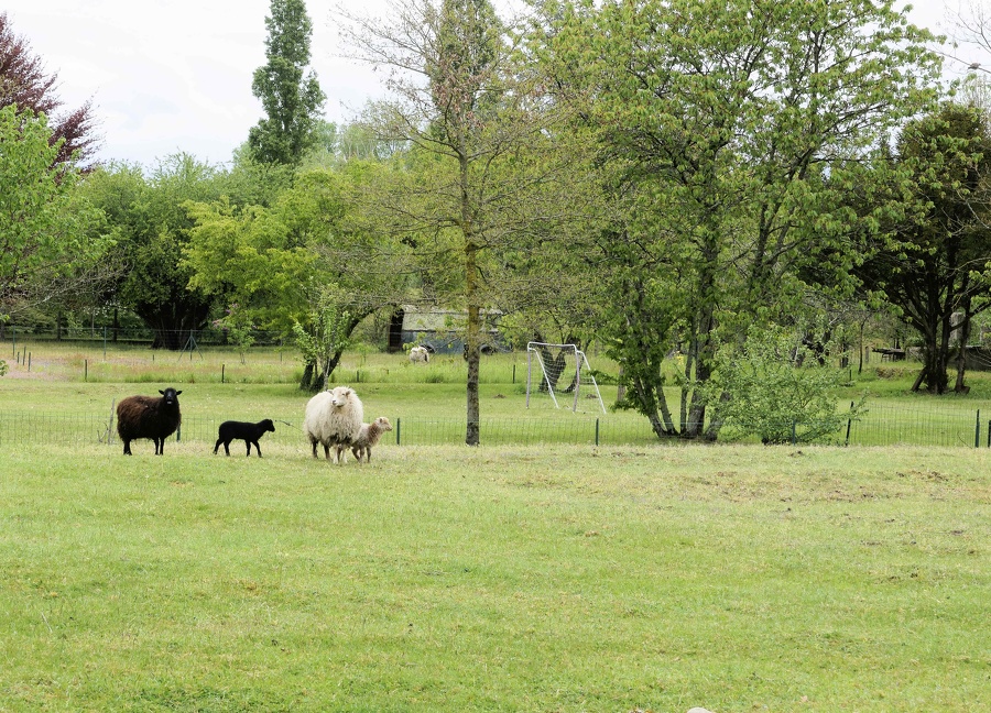 La Charité sur Loire.