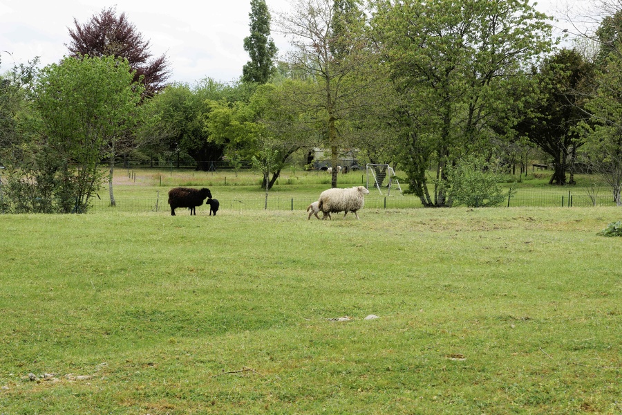 La Charité sur Loire.