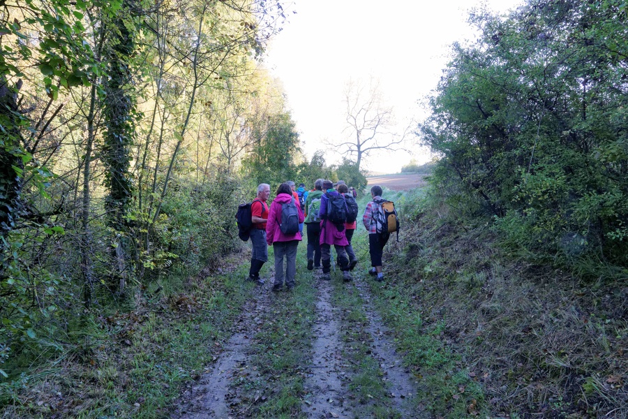 Randonnée autour de Yèvre le Chatel.