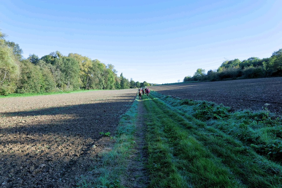 Randonnée autour de Yèvre le Chatel.