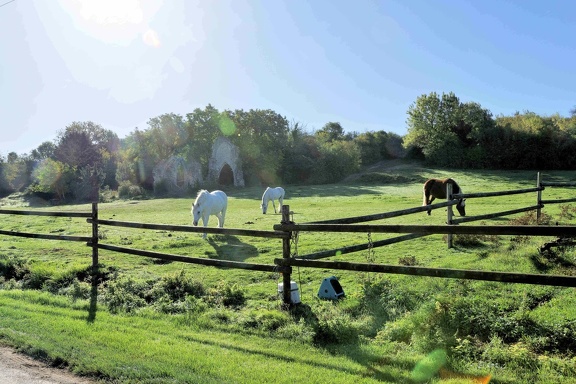 Randonnée autour de Yèvre le Chatel.