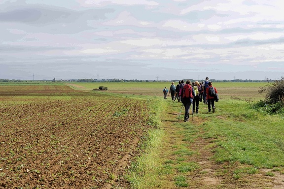 Randonnée autour de Yèvre le Chatel.