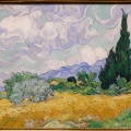 Champ de blé avec Cyprès. Vincent Van Gogh.