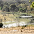 Rivière Okavango.
