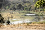 Rivière Okavango.