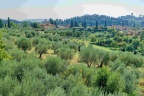 Paysage de Toscane.