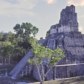 Tikal.