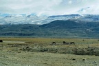 Route 40, vers Glacier Perito Moreno.