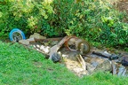 La Reculée des Planches.