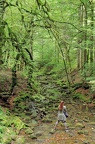 Source du Doubs.