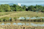 Sur la route de Chaing Mai.