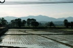 Sur la route de Chaing Mai.